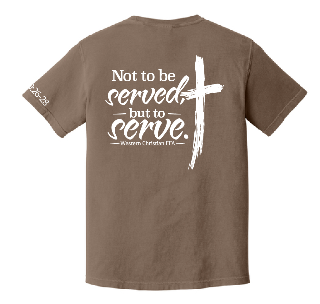 ADULT COMFORT COLORS T-SHIRT | FFA26