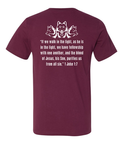 THEME SHIRT ADULT BELLA+CANVAS V-NECK TEE | THEME